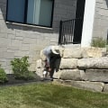 Professional Sprinkler Company Services In Omaha For Flawless Pre-Sale Home Renovations