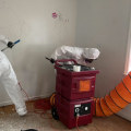 The Role Of Mold Remediation Service In Successful Presale Home Renovations In Charleston