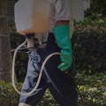 Why Every Presale Home Renovation In Fayetteville Needs A Trusted Pest Control Company