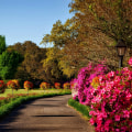 Presale Home Renovations Start Outside: Why Lawn Care In Derry, NH Matters Most