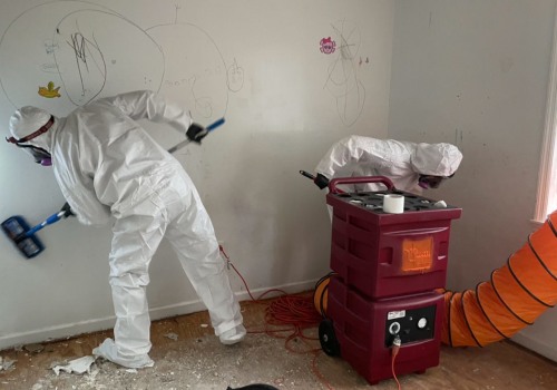 The Role Of Mold Remediation Service In Successful Presale Home Renovations In Charleston