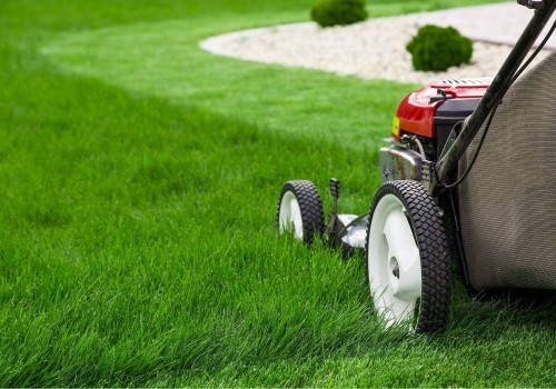 Grass Cutting Service: The First Step To Effective Presale Home Renovations In Oregon